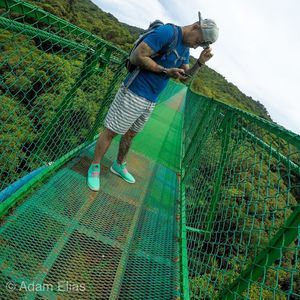 Meet your Posher, Adam